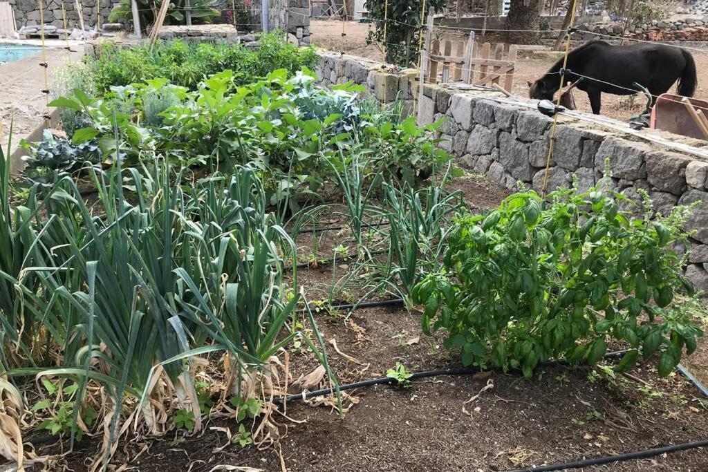 아루카스 Casita Bioclimatica En El Campo 아파트 외부 사진